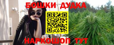 шишки Тосно