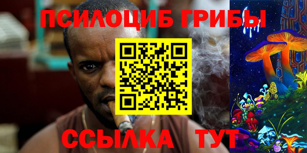 Галлюциногенные грибы Cubensis Кашира